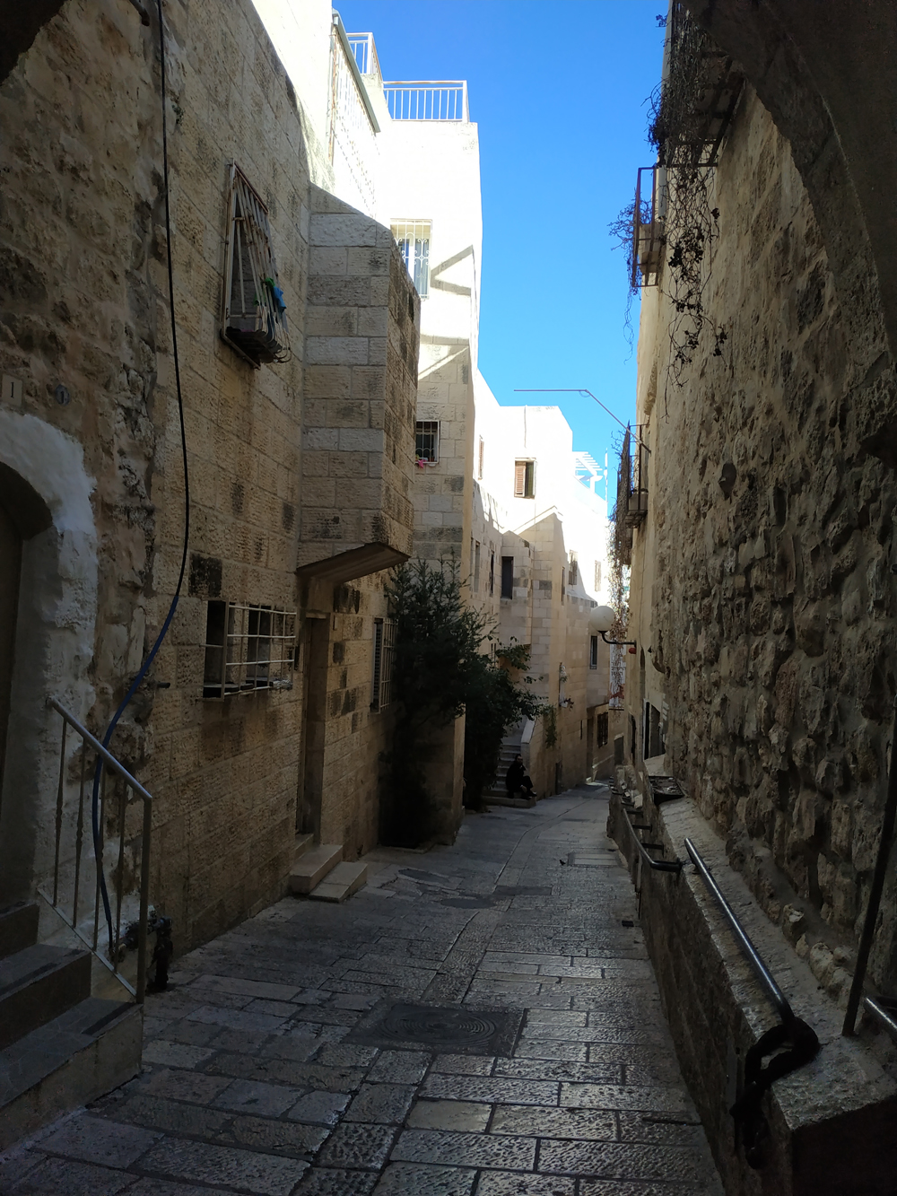 IMG_20190203_144855 IMG_20190203_144855