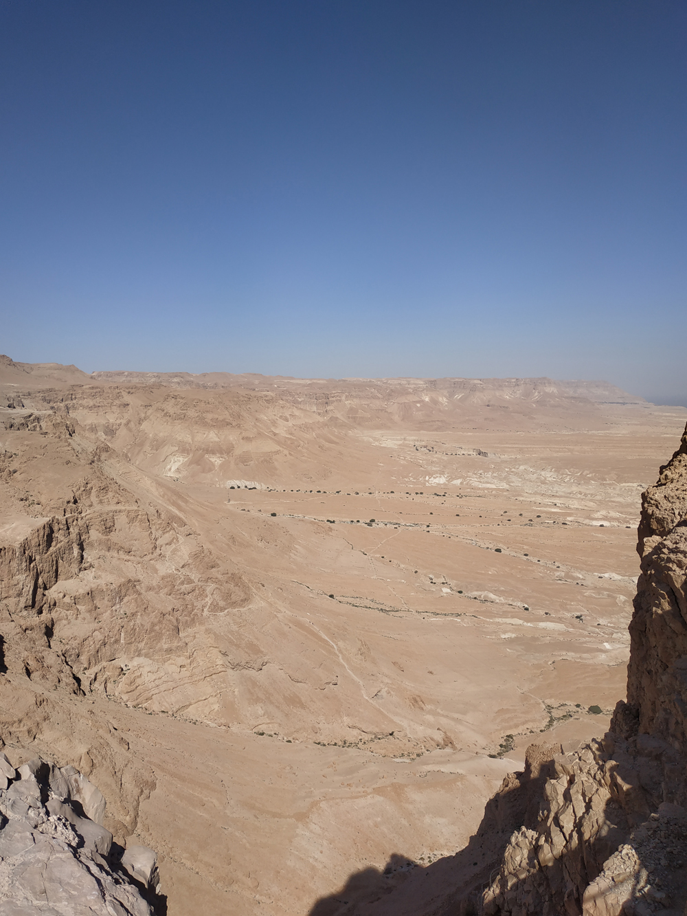 IMG_20190204_105830 IMG_20190204_105830