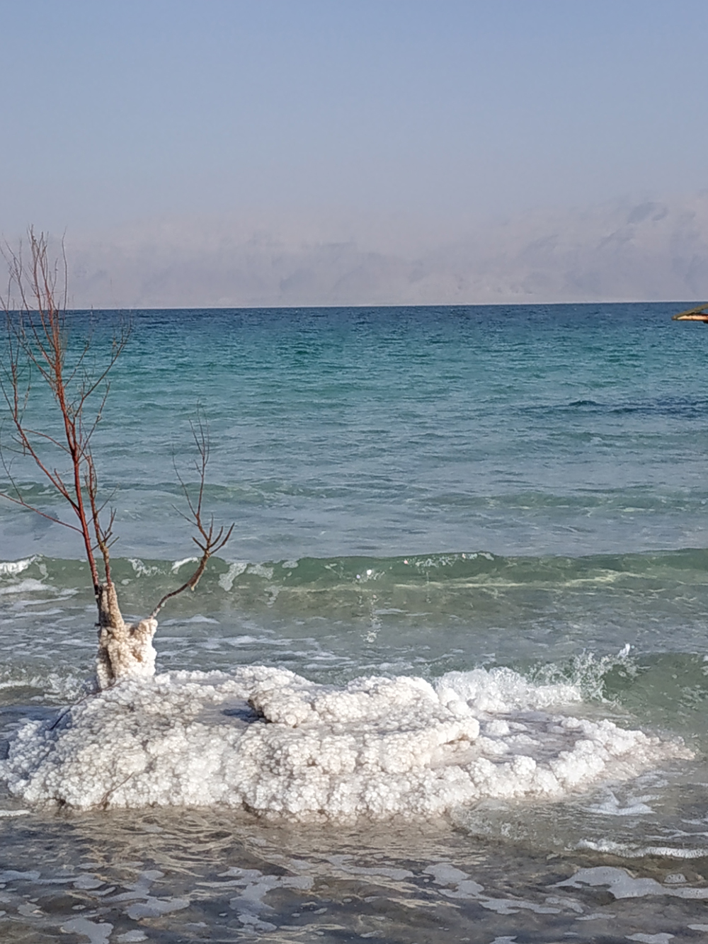 IMG_20190204_144555 IMG_20190204_144555