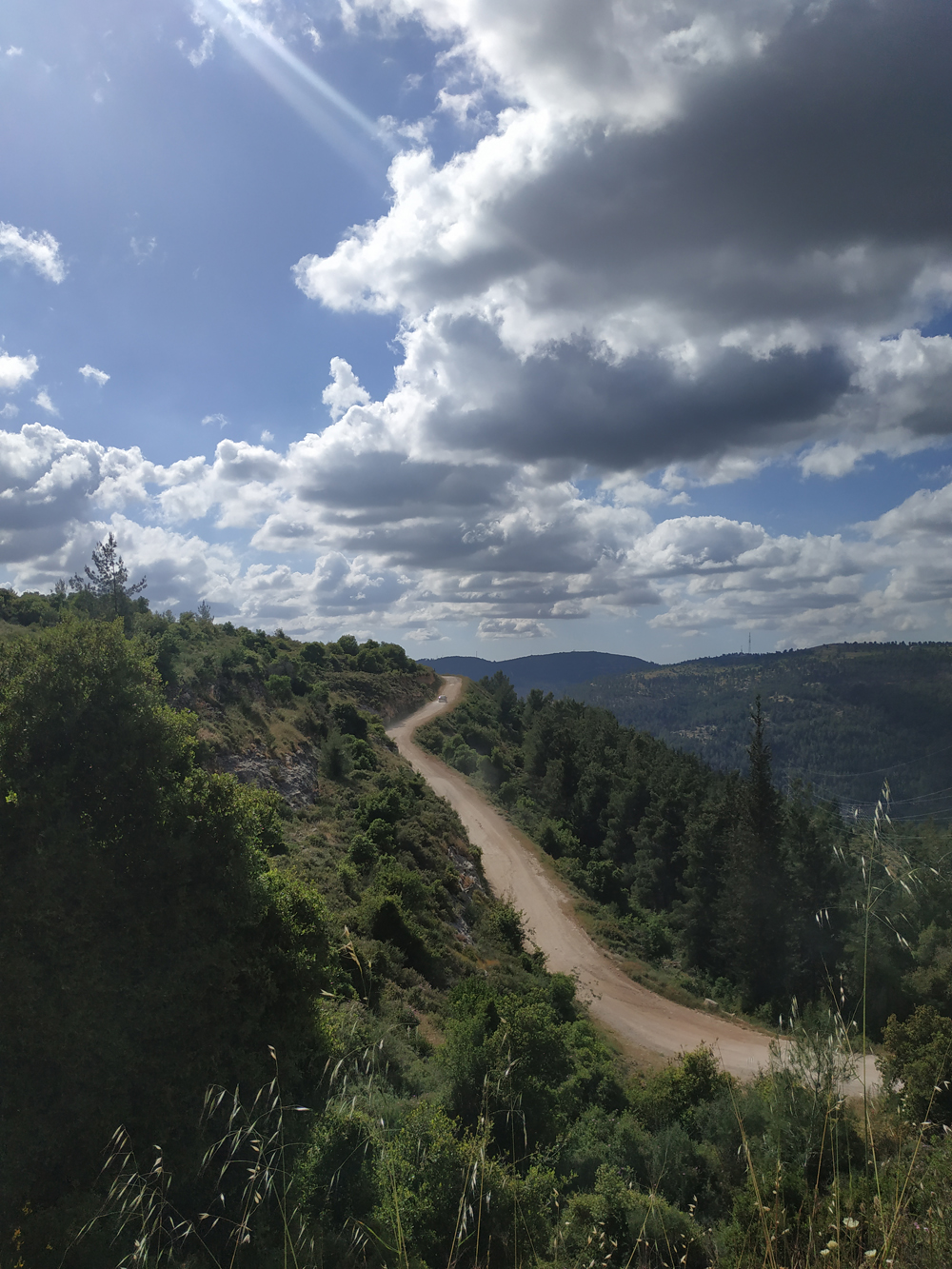 IMG_20190509_160119 IMG_20190509_160119