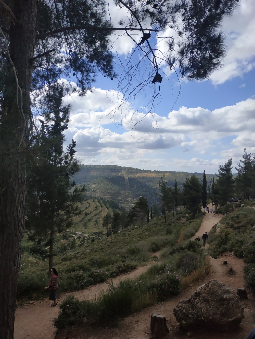 IMG_20190509_162906 IMG_20190509_162906