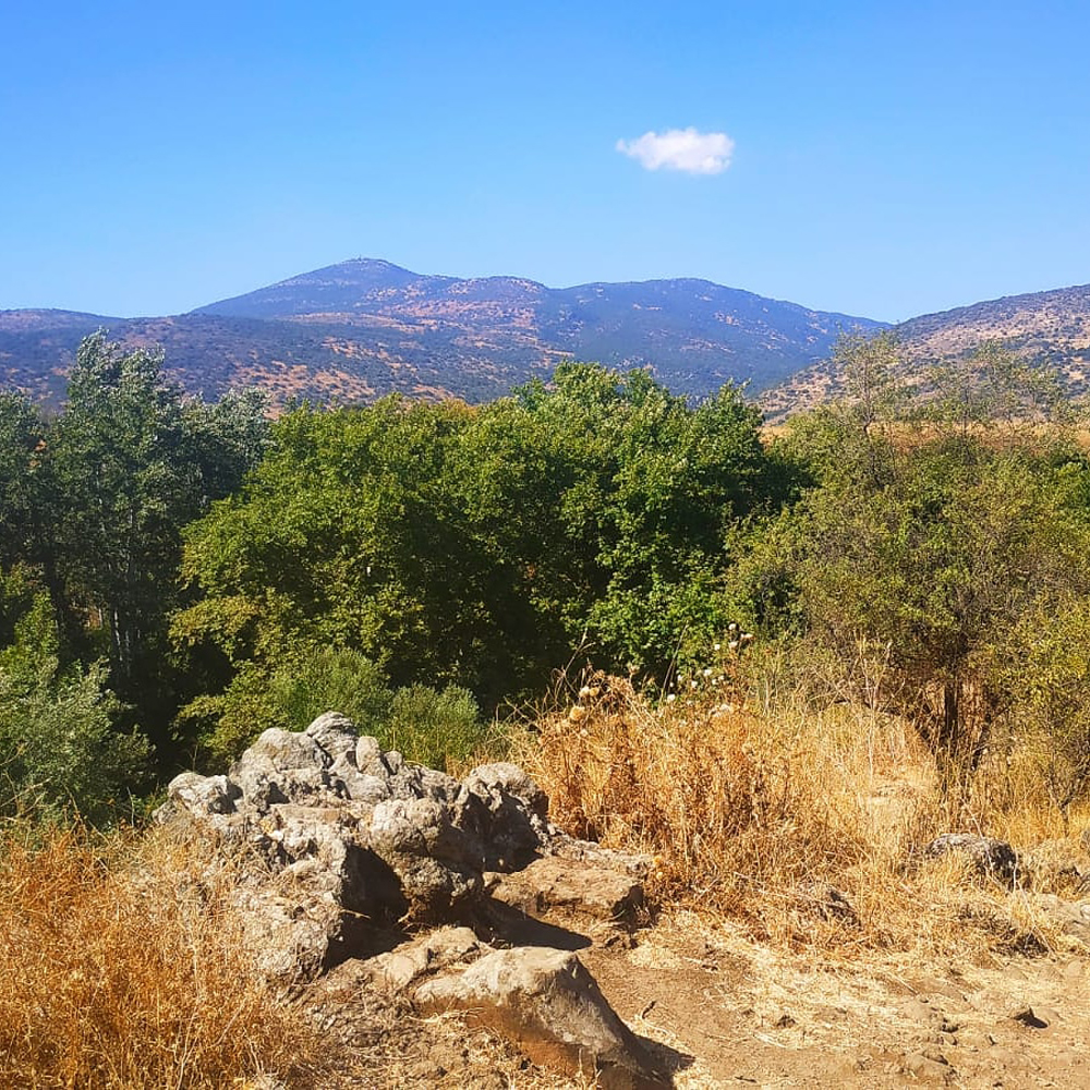 IMG_20200226_193750_972 IMG_20200226_193750_972